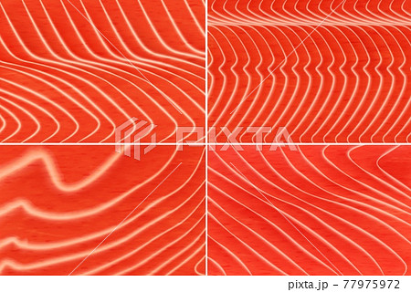 Salmon or trout meat texture vector backgrounds Salmon or trout meat texture vector backgrounds 77975972
