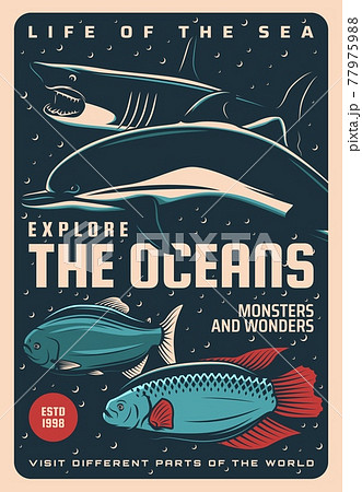 Ocean life, undersea monsters and wonders poster 77975988