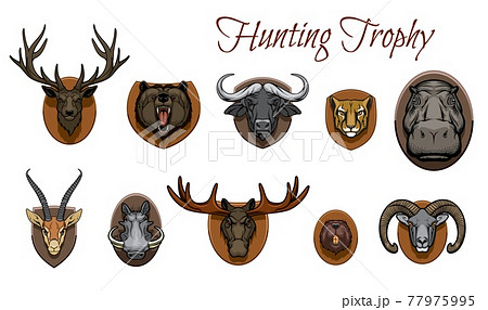 Hunting trophies, hunted animal heads on wall Hunting trophies, hunted animal heads on wall 77975995