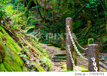 登山道 登山道 77976703