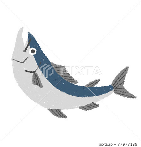 Salmon Fish Fishes Stock Illustration