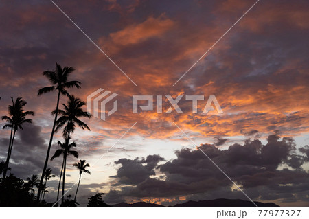 Tropical Sunset With Palm Tree silhouette with dramatic clouds. Vacation and travel concept. 77977327