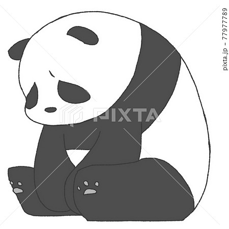 しょんぼりするパンダ 77977789