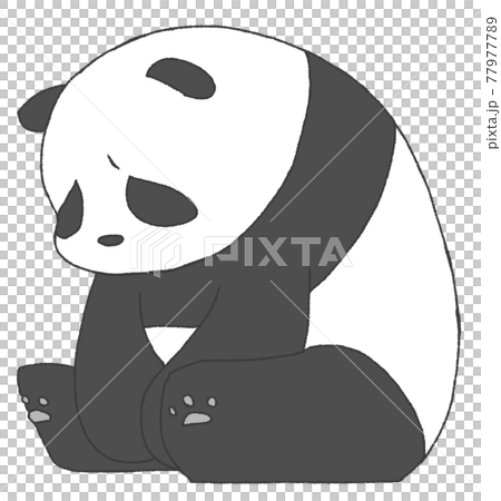 しょんぼりするパンダ 77977789
