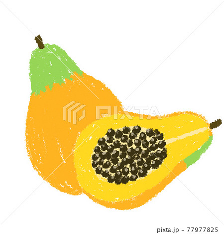 パパイヤ 南国 フルーツ 果物 イラスト 素材 クレパスのイラスト素材