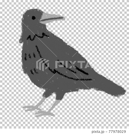 ドローイング カラス 動物 鳥 原画 パステル画 イラスト 絵画 一点物 B 