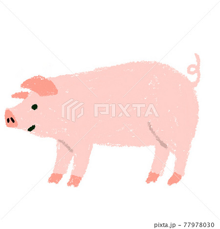 豚 養豚 手書き 素材 イラスト のイラスト素材