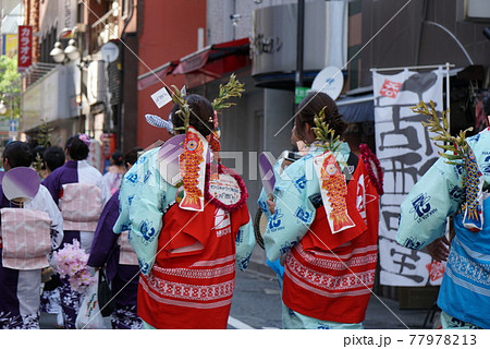 博多どんたくへ着物を着て行く人 77978213