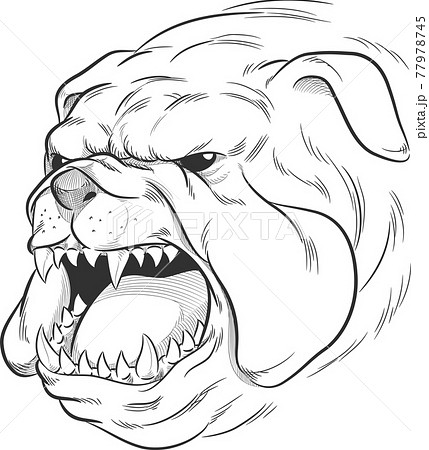 3289 Bull Dog Tattoo Images Stock Photos  Vectors  Shutterstock