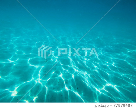 Under the sea Travel in the diving sea Under the sea Travel in the diving sea 77979487