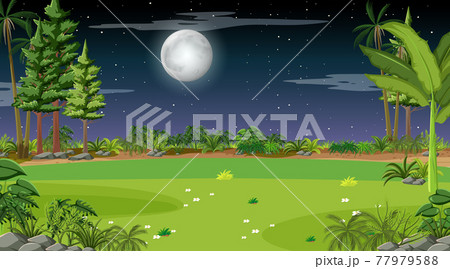 Nature forest landscape at night scene 77979588