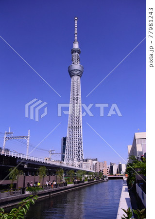 源森橋から見た東京ツカイリリー 77981243