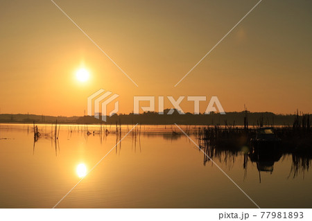 印旛沼の朝焼け 77981893