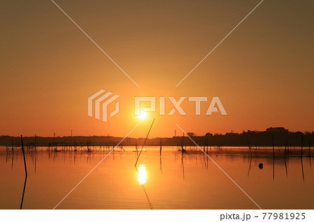 印旛沼の朝焼け 77981925