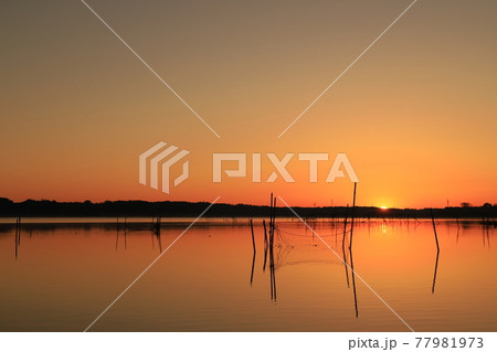 印旛沼の朝焼け 印旛沼の朝焼け 77981973