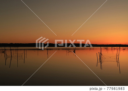 印旛沼の朝焼け 印旛沼の朝焼け 77981983