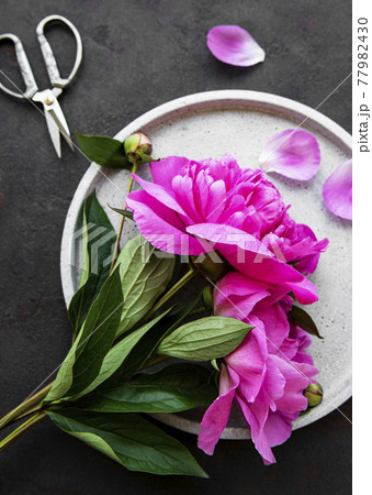Peony flowers on a black concrete background 77982430