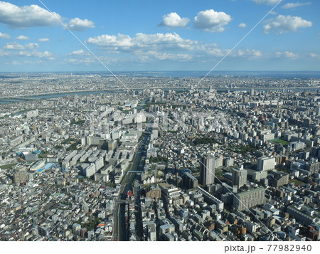 東京スカイツリー天望デッキからの眺め（南東側　千葉方面　東京湾・房総半島など） 77982940