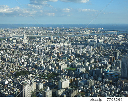 東京スカイツリー天望デッキからの眺め（南東　千葉方面　東京湾・房総半島・東京ディズニーリゾートなど） 77982944