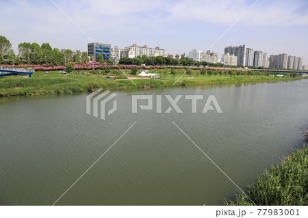公園 川 河 77983001