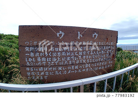 天売島の景色 77983192