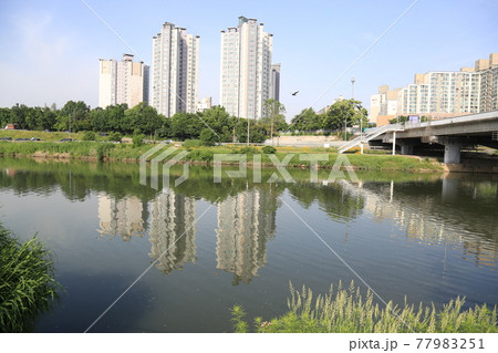 風景 川 河 77983251