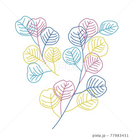 Organic leaf thin line. Branches. Organic leaf thin line. Branches. 77983431