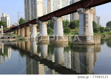 ビル 川 河 77983515