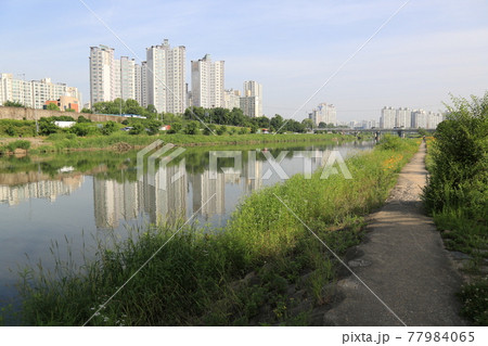 風景 川 河 77984065