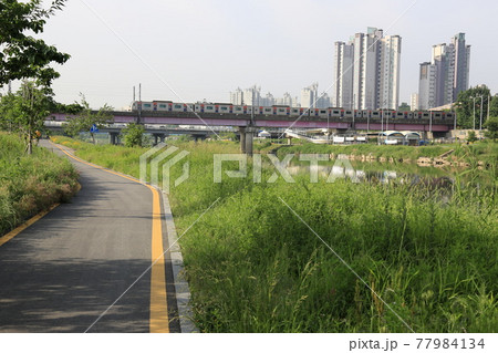 風景 川 河 77984134