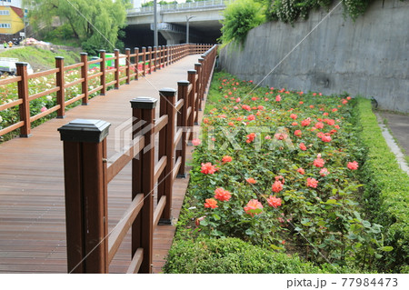 川 河 東京 77984473