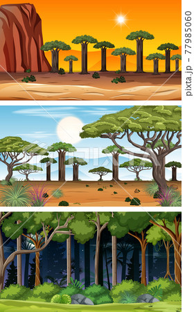 Set of different forest horizontal scenes in different times 77985060