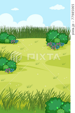 Blank scene with nature landscape 77985065