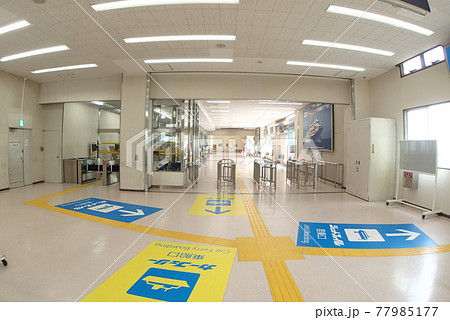 佐渡汽船乗り場 77985177