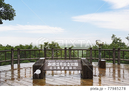 にわか雨降る釧路湿原　北斗展望台　夏　8月 77985278