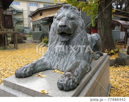 墨田区向島の三囲神社に奉納されたライオン像 77986442