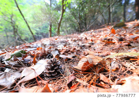 登山者 クライマー 林 77986777