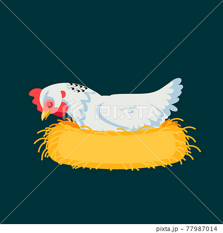 Cartoon hen is sleeping. White Chicken is hatching the egg in the coop. Vector illustration 77987014
