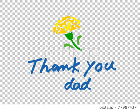 Cute June Father's Day carnation flowers and thank you text/handwritten illustration material 77987437