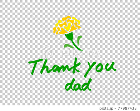 Cute flower Father's Day Carnation Thank you June / Hand-drawn illustration material 77987438