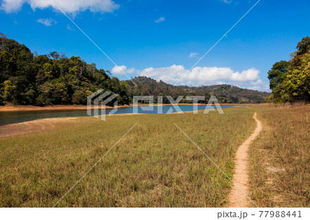 Periyar wildlife sanctuary, India Periyar wildlife sanctuary, India 77988441