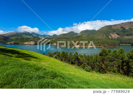 Mattupatti lake in Western Ghats mountains. Kerala, India 77989029