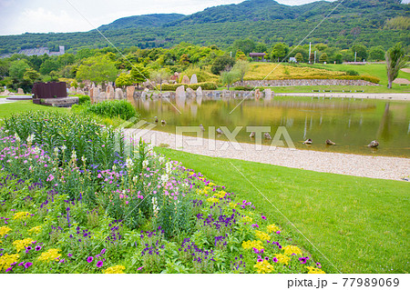 淡路島・国営明石海峡公園の池(花の中海) 淡路島・国営明石海峡公園の池(花の中海) 77989069