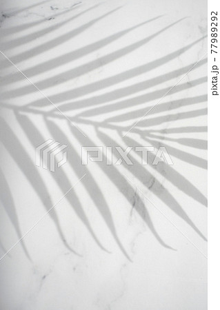 葉 木の葉 グリーン 77989292