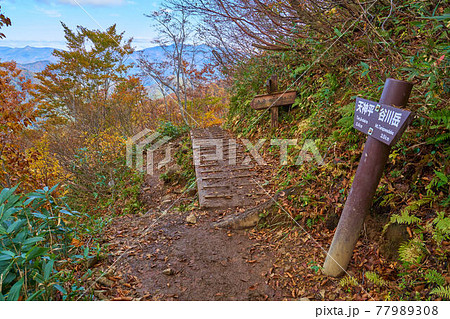 秋の群馬県谷川岳 天神尾根付近にある田尻尾根分岐点(土合,天神平,谷川岳山頂) 秋の群馬県谷川岳 天神尾根付近にある田尻尾根分岐点(土合,天神平,谷川岳山頂) 77989308