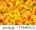 イチョウと紅葉と松ぼっくりなどの秋のベクターイラスト背景(落ち葉、どんぐり、絨毯) 77990513