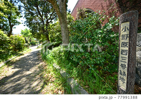 小野原西三号緑地 77991388