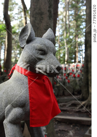 豊川稲荷　狐塚 77991620