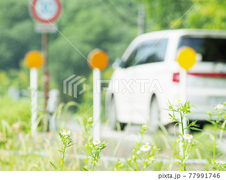 初夏のドライブコース 77991746