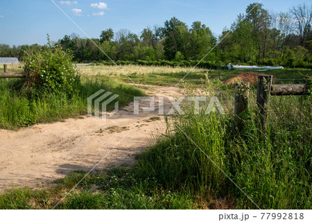 Winding dirt road through tall grass rounds a bend on an idyllic farm. Winding dirt road through tall grass rounds a bend on an idyllic farm. 77992818